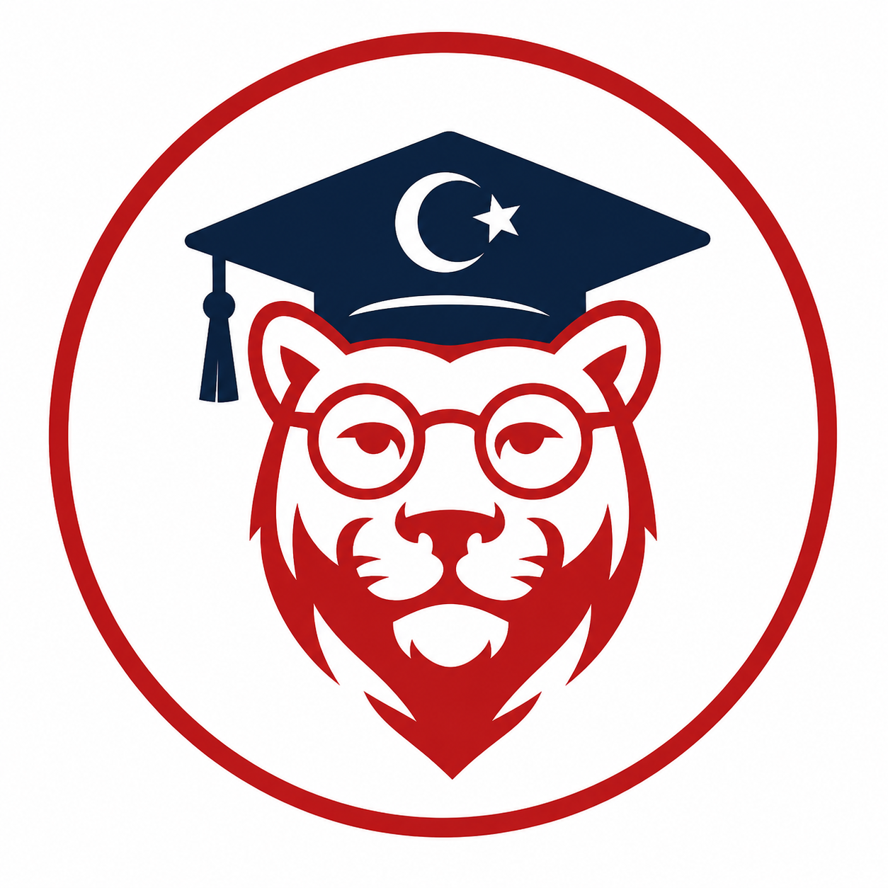 PSTAN Logo